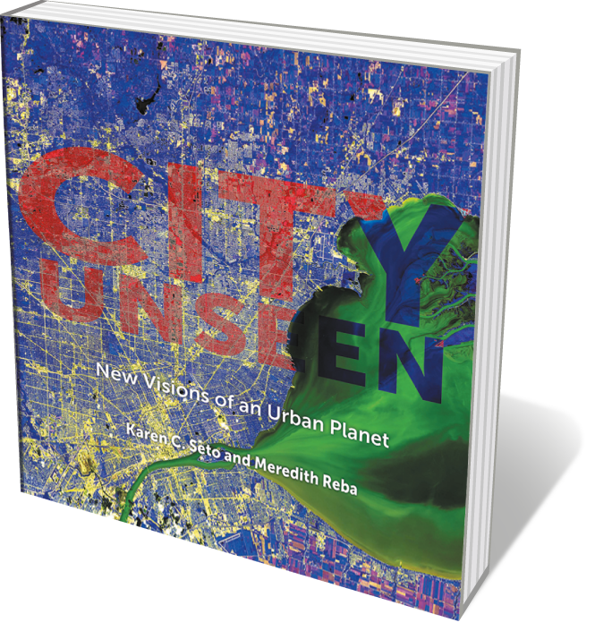 Book jacket 'City Unseen'