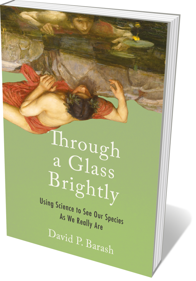 Book jacket 'Through a Glass Brightly'
