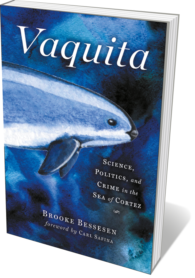 Book jacket 'Vaquita'