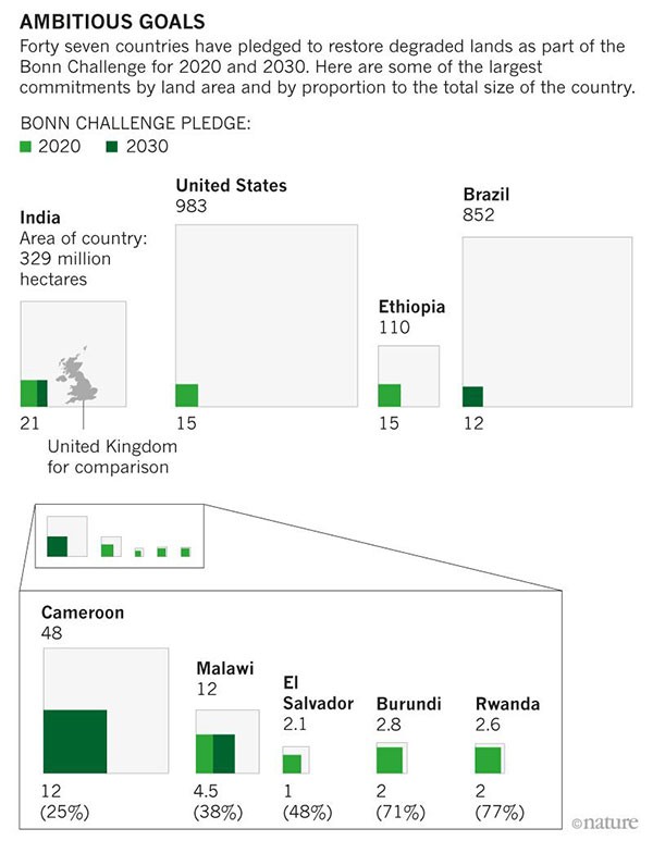 India, the United States and Ethiopia are among the countries that have made significant commitments to reforestation.