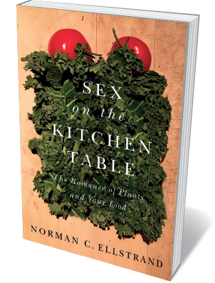 Book jacket 'Sex on the Kitchen Table'