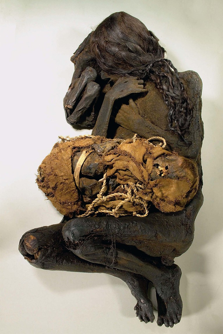 A female mummy with plaited hair curled around two small child mummies wrapped in cloth.
