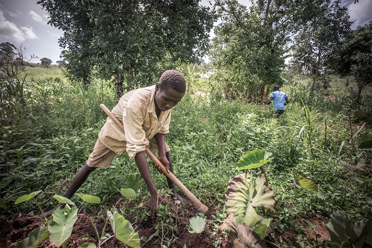 A local farmer bends down to reach foliage in a clearing in Uganda. In his left hand he holds a hoe.
