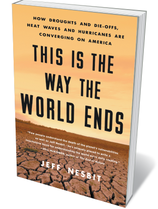Book jacket 'This is the Way the World Ends'