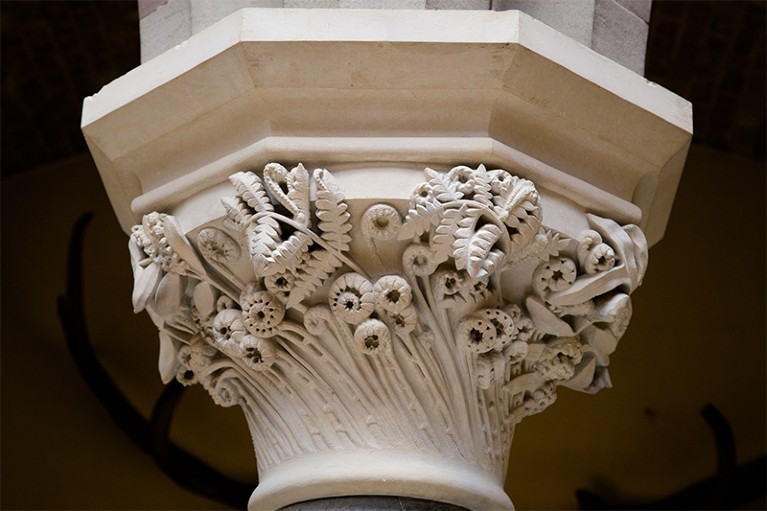 A capital carved with delicately curling ferns and flora by James O'Shea