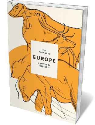 Book jacket 'Europe'