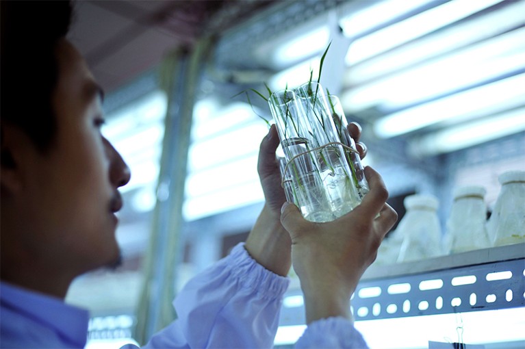 Photo of researcher holding test tubes in laboratory