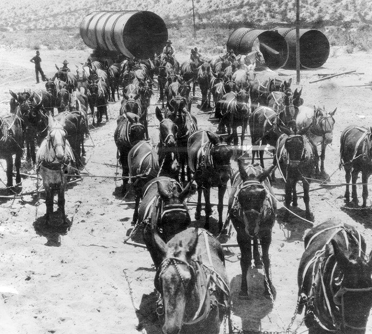 A 52-mule team hauling sections of Los Angeles Aqueduct pipe in 1912
