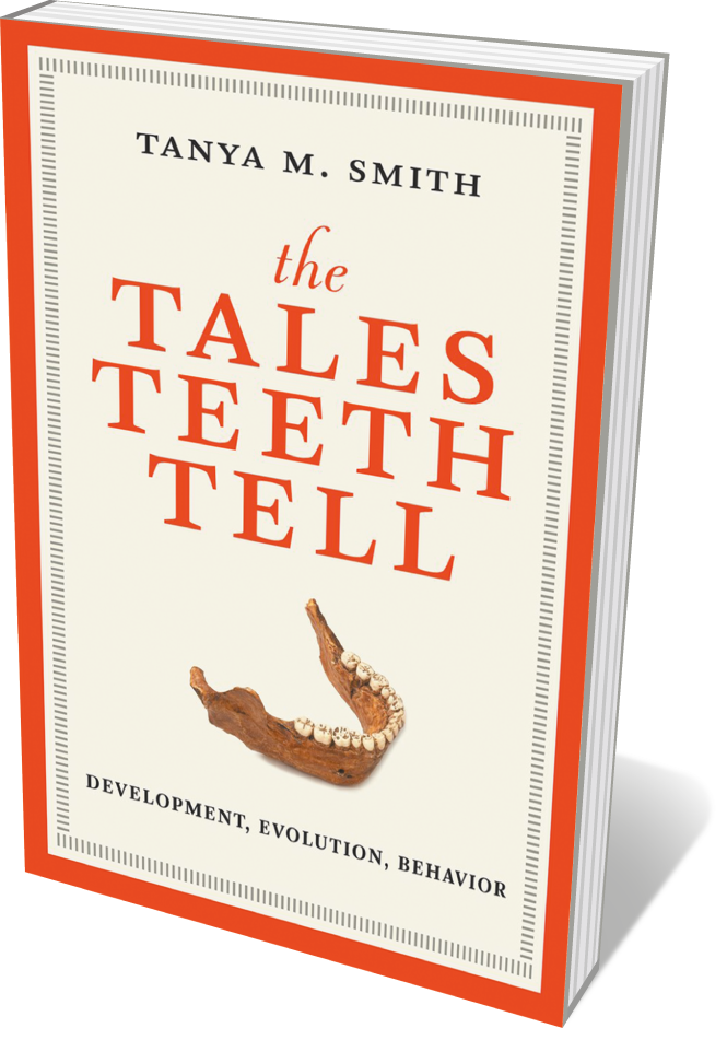 Book jacket 'The Tales Teeth Tell'