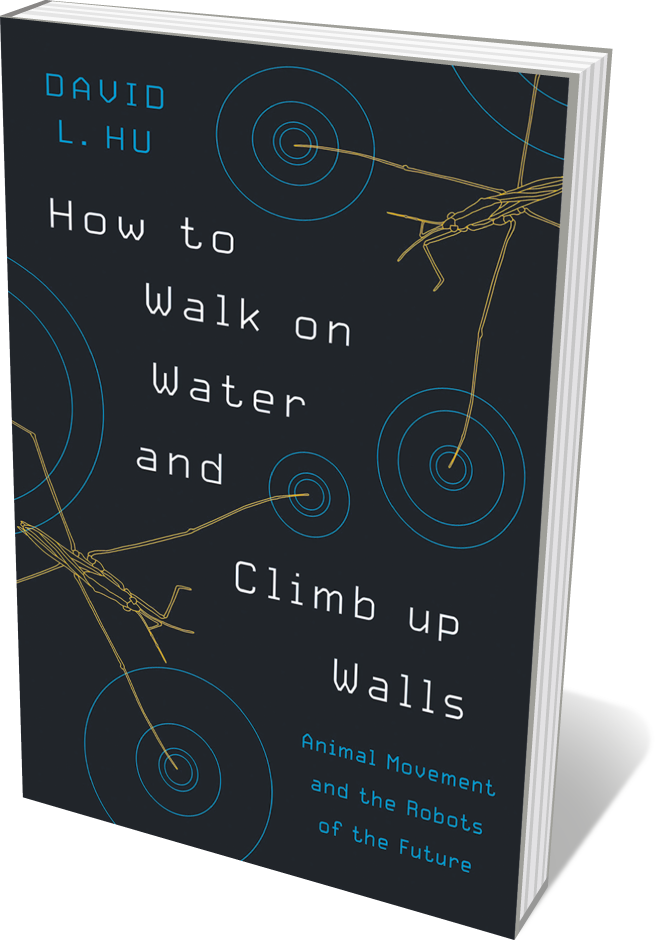 Book jacket 'How to Walk on Water'