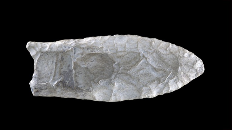 An ancient arrowhead that belonged to people associated with the Clovis culture, an early group of settlers in the Americas.
