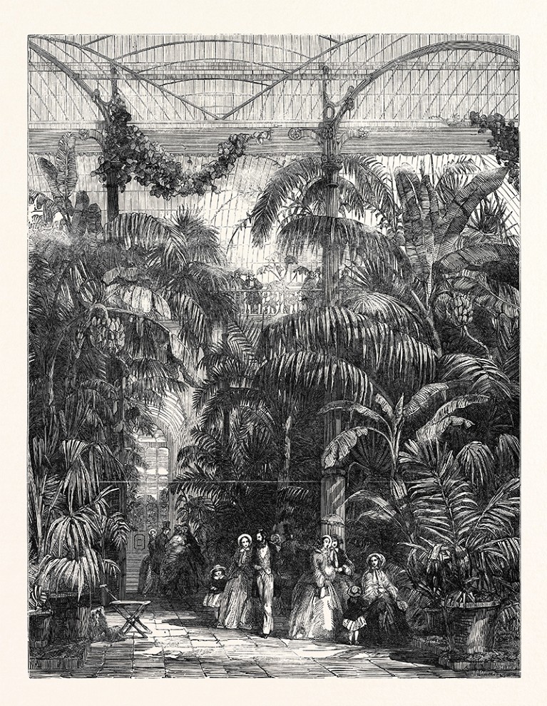 Engraving of victorian people walking amid lush ferns and plants in Palm House, Kew Gardens. From the Illustrated London News