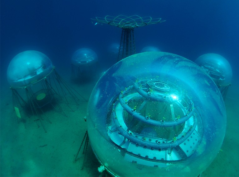 Four bubble like domes with a metal like structure on the seabed. Small seedlings grow from a thick pipe inside the front dome