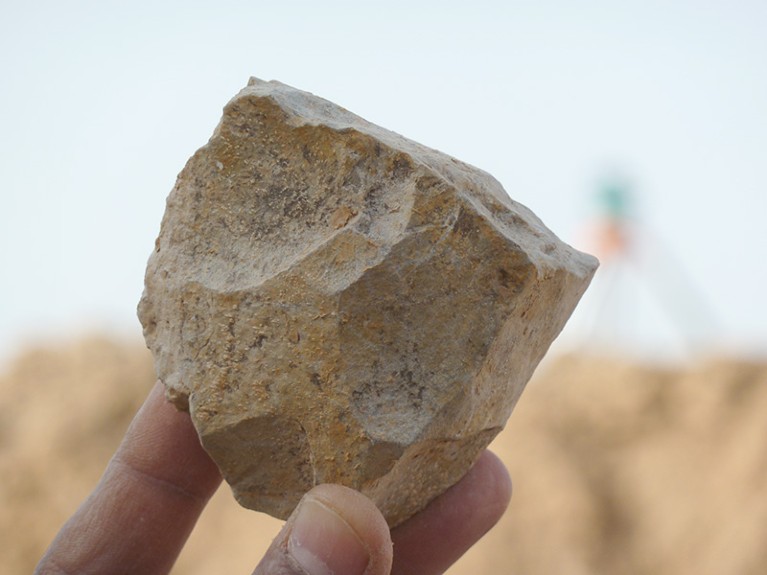 An Oldowan core freshly excavated at Ain Boucherit