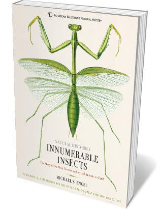 Book jacket 'Innumerable Insects'