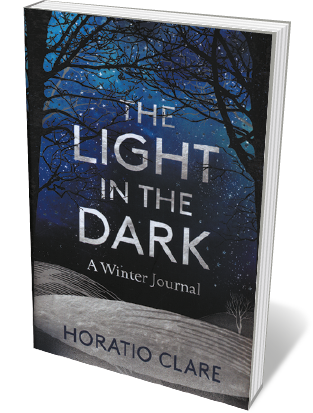 Book jacket 'Light in the Dark'