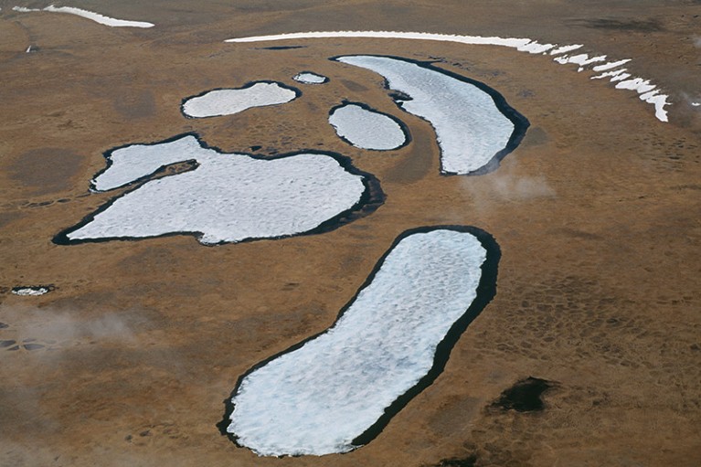 Permafrost tundra in the Kolyma river delta, Siberia, Russia