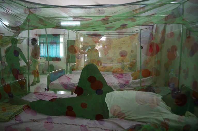 Indian patients suffering from dengue fever in a hospital ward