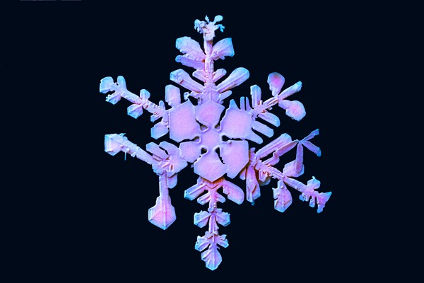Coloured low-temperature scanning electron micrograph of a snowflake