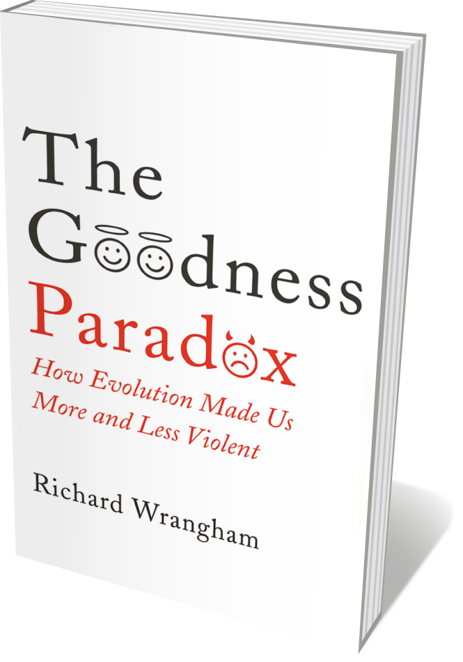 Book jacket 'The Goodness Paradox'