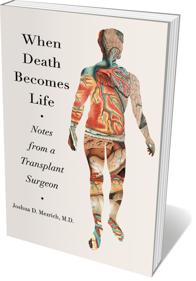 Book jacket 'When Death Becomes Life'