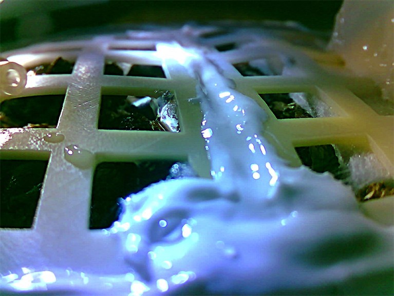 A picture of a seedling (left) growing out of a frame, which has melted at centre to right.