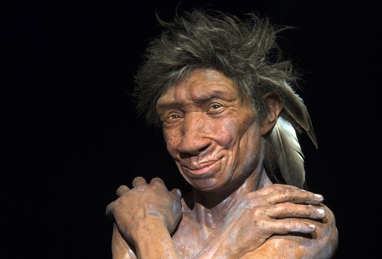Forensic reconstruction of the Gibraltar Neanderthal fossil