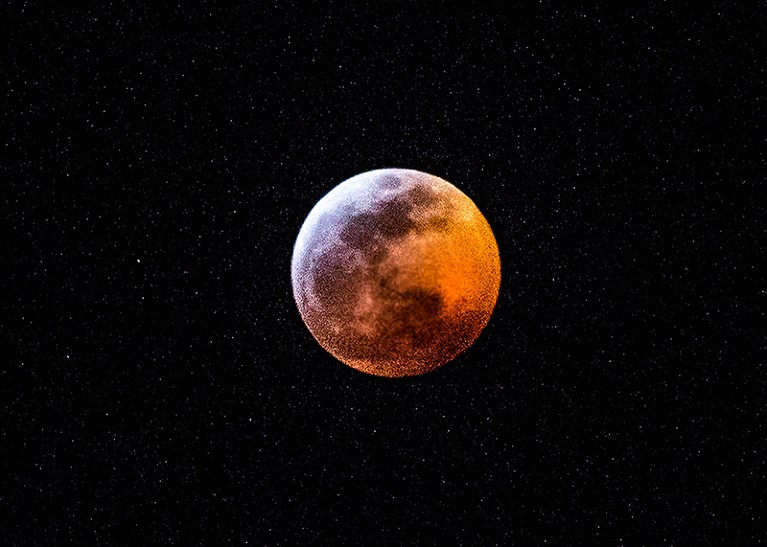 Blood wolf moon eclipse