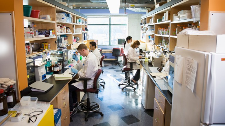 Four scientists working in a small laboratory