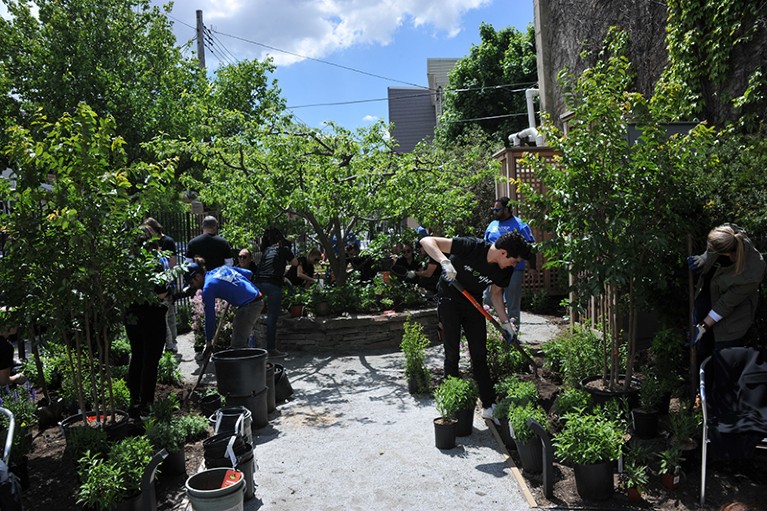 Volunteers in Brooklyn working on a solar-powered community garden.