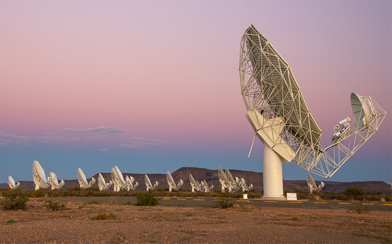 MeerKAT-3 dish array in South Africa under a setting sun