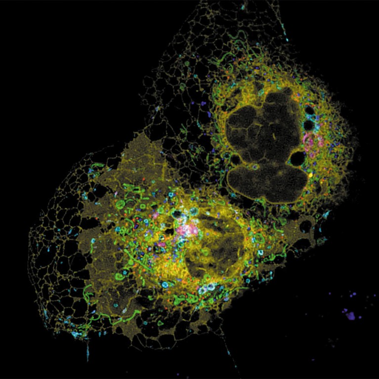 How secret conversations inside cells are transforming biology