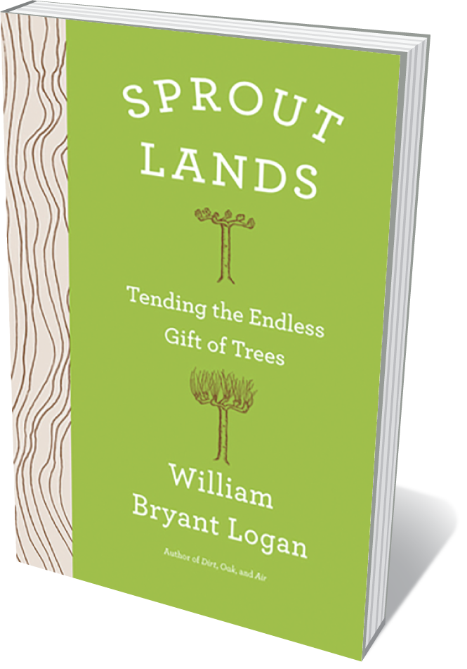 Cover of Sprout Lands