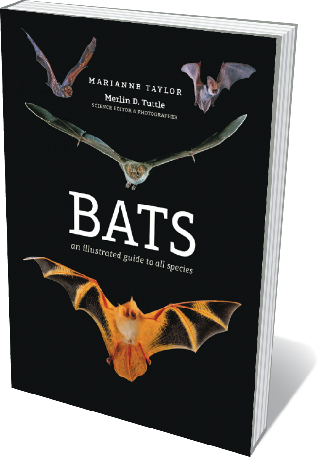 Cover of Bats: An Illustrated Guide to All Species