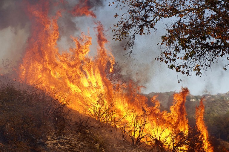 A wildfire burns at the Salvation Army Camp on November 10, 2018 in Malibu, California.