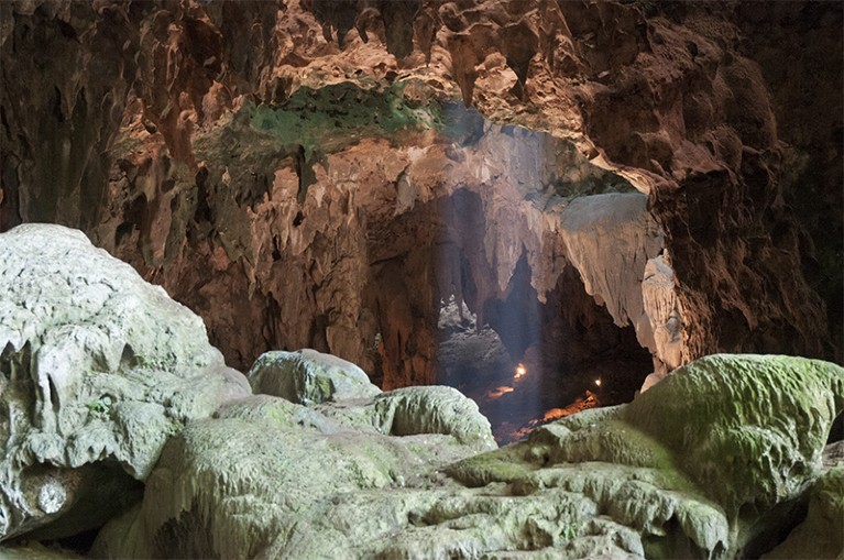 View from the rear of the first chamber if the Callao Cave in the Philippines, where the fossil Homo luzonensis was discovered.