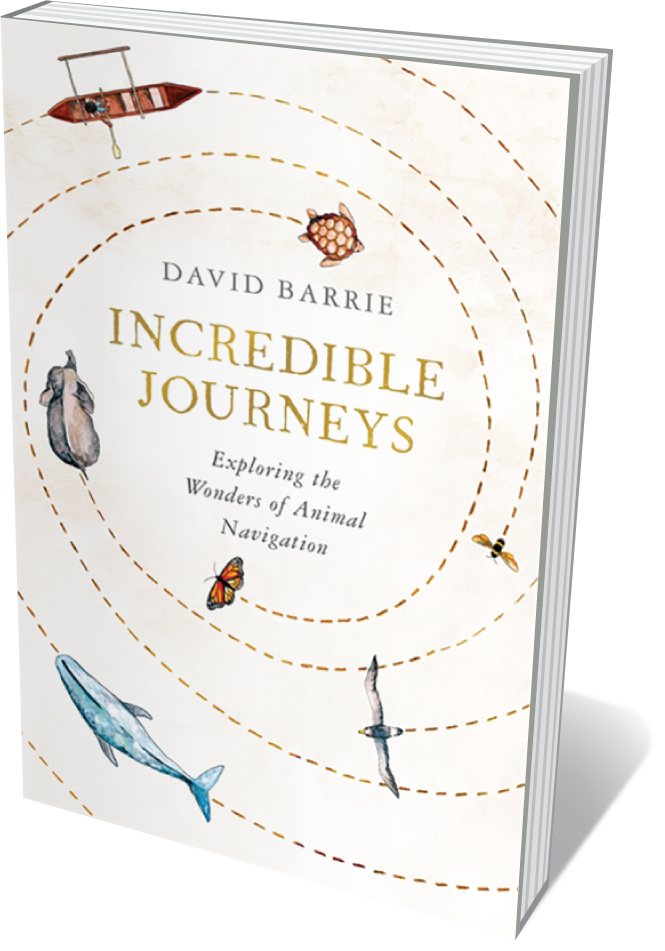 Cover of Incredible Journeys