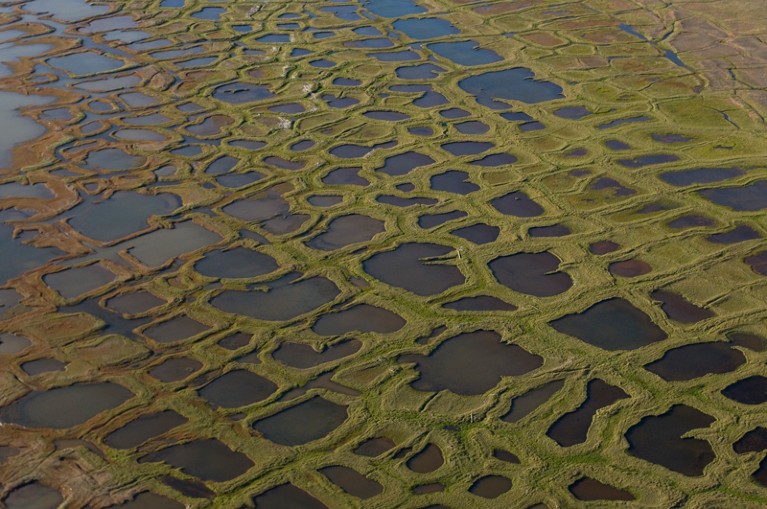 Permafrost collapse is accelerating carbon release