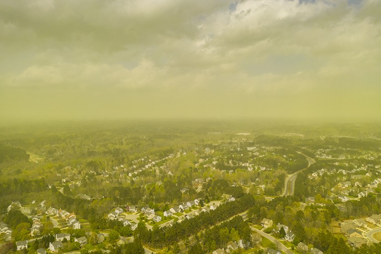 Pollen spread by wind above Durham, NC on April 8th, 2019