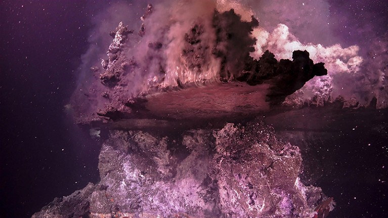 A hydrothermal vent field featuring numerous volcanic flanges