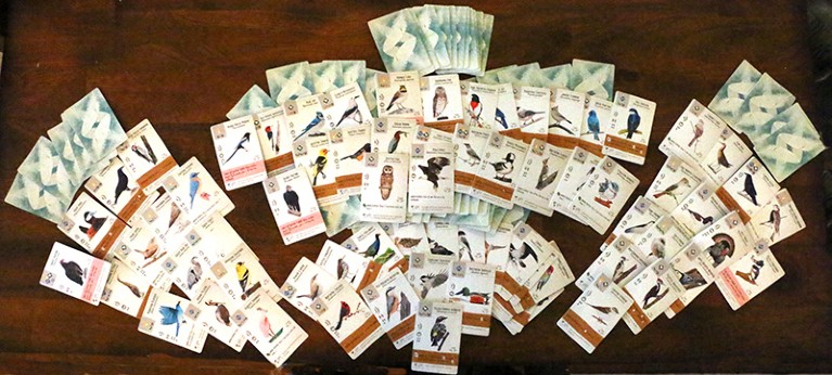 Wingspan game cards