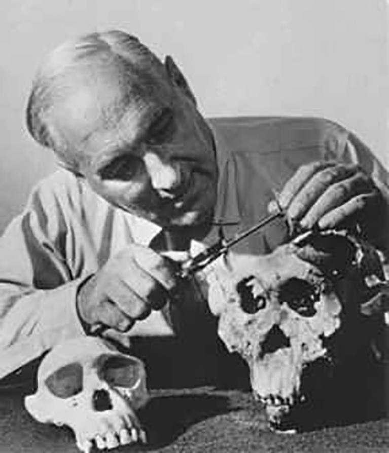 Louis Leakey with skulls.