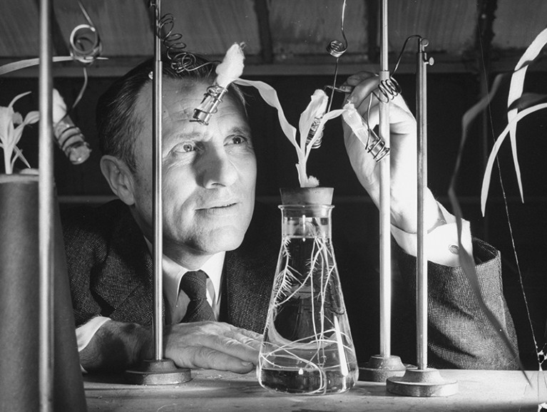 Martin Kamen working in lab on a photosynthesis experiment.