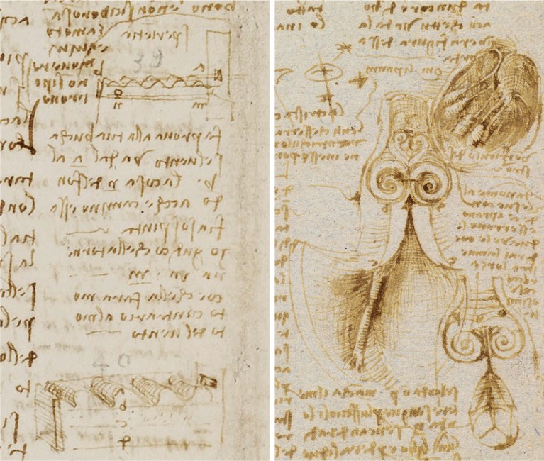 Details of two of Leonardo da Vinci’s sketches