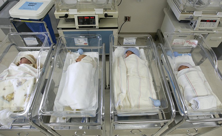 Newborns in the nursery at Santa Monica UCLA Medical Center
