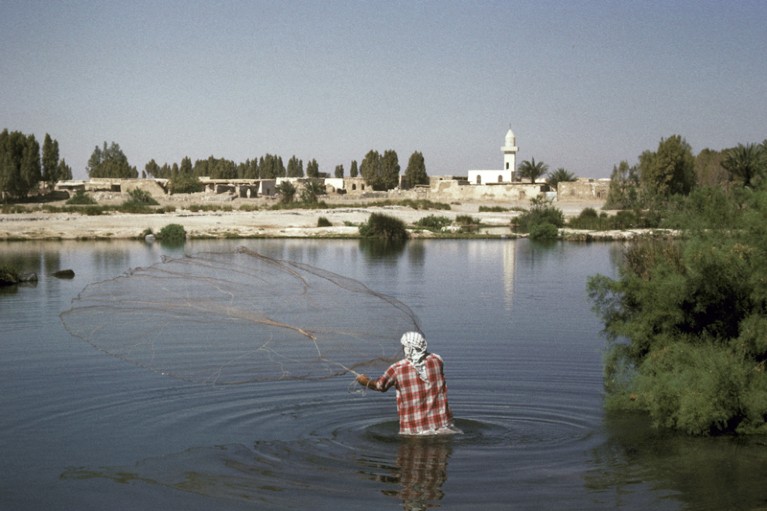 A fisherman throwing a net into the Azraq Shishan, Jordan, 1964