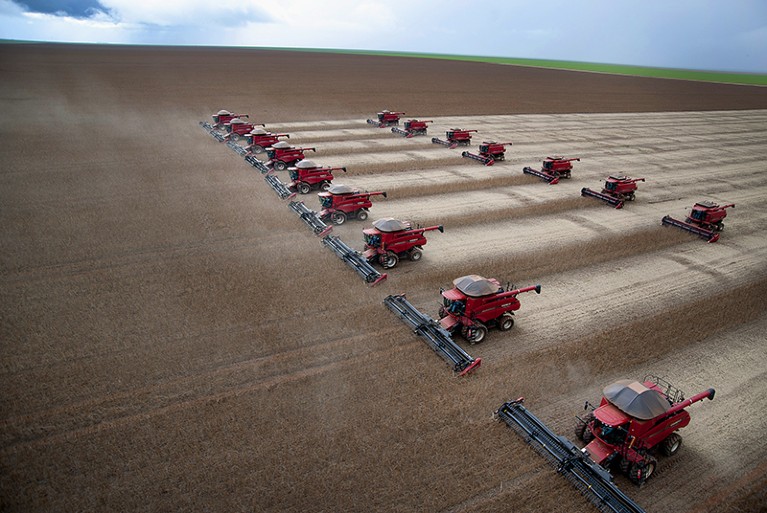 Combines harvest soybeans near Tangara da Serra, Brazil