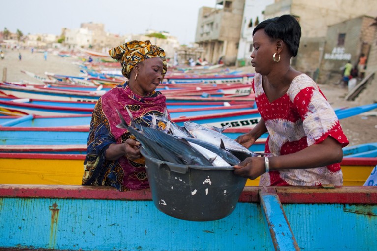 Senegalese women lift a bucket of fish from a fishing boat