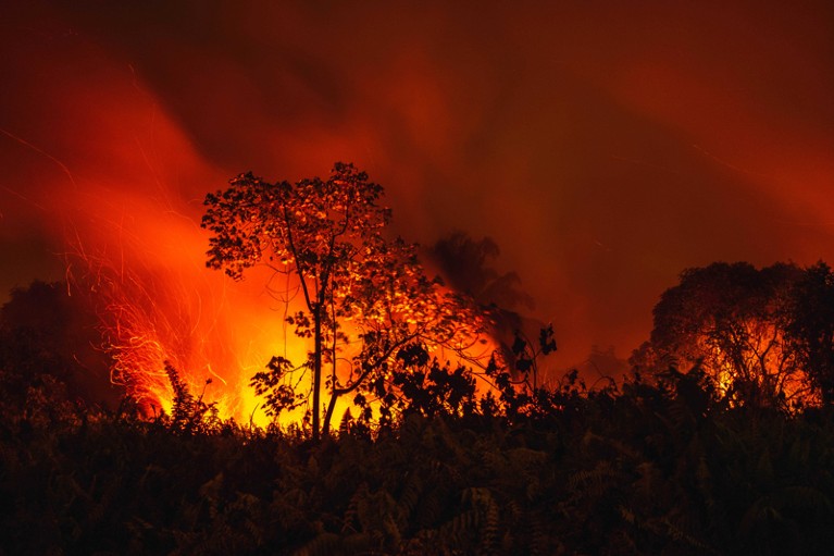 A fire burns peatland and forest in Pekanbaru, Riau Province, Indonesia, 24 September 2019