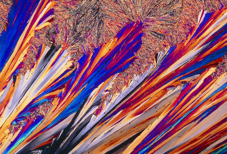 Polarised light micrograph of crystals of testosterone